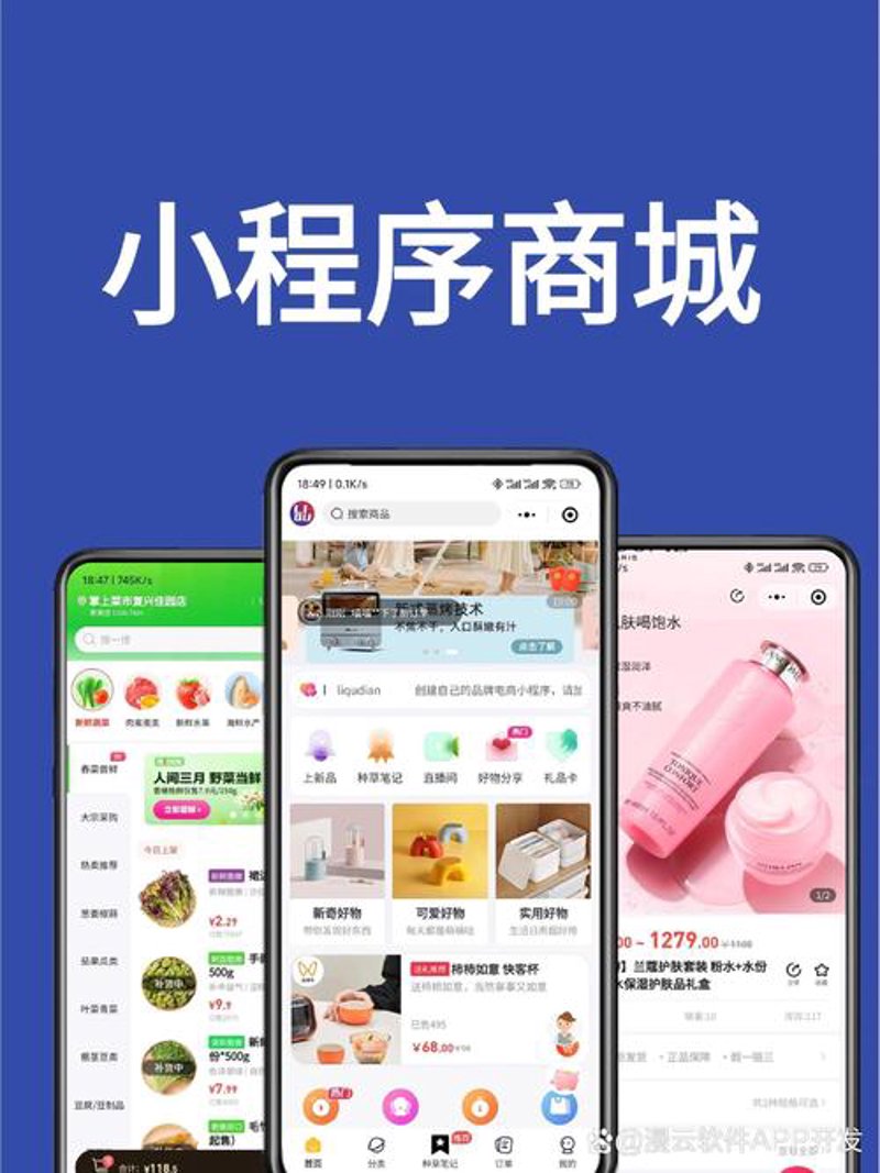 电商风云：网上购物平台的发展演变
